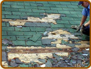 Roof Damage from Raccoons